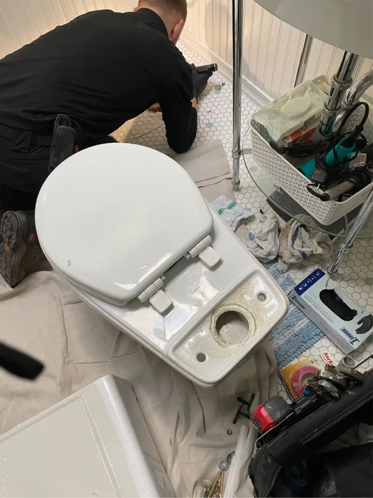 Toilet leak oak brook illinois