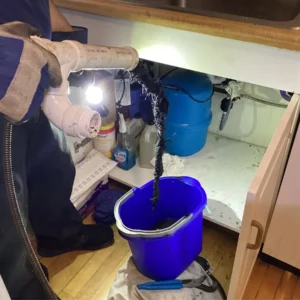 Kitchen sink clog vernon hills illinois