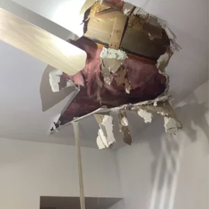 Goose island plumbing repairs
