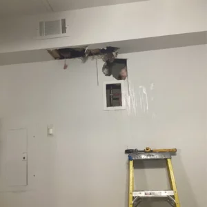 Goose island residential plumbing services