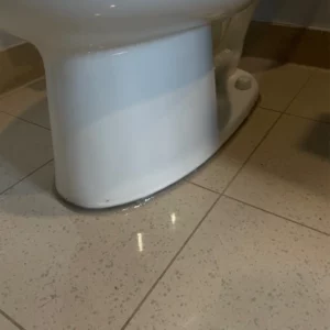 Seal at the base of toilet after completed project