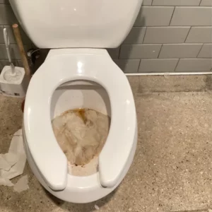 Toilet clog | goose island chicago | emergency plumbing services chicagoland