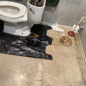 Toilet clog | goose island chicago | emergency plumbing services chicagoland
