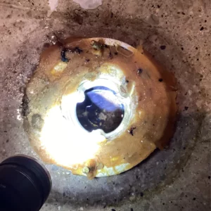 Toilet clog | goose island chicago | emergency plumbing services chicagoland