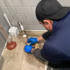 Toilet clog | goose island chicago | emergency plumbing services chicagoland