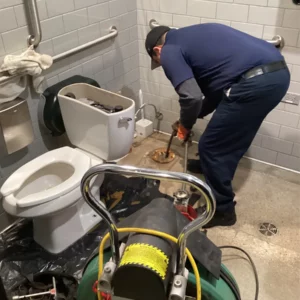 Toilet clog | goose island chicago | emergency plumbing services chicagoland