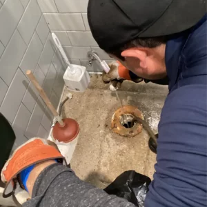 Toilet clog | goose island chicago | emergency plumbing services chicagoland