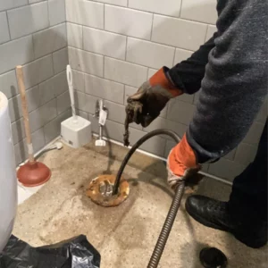 Toilet clog | goose island chicago | emergency plumbing services chicagoland