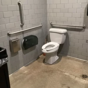 Toilet clog | goose island chicago | emergency plumbing services chicagoland
