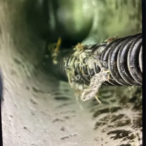 Toilet clog | lincolnshire illinois | emergency plumbing services chicagoland
