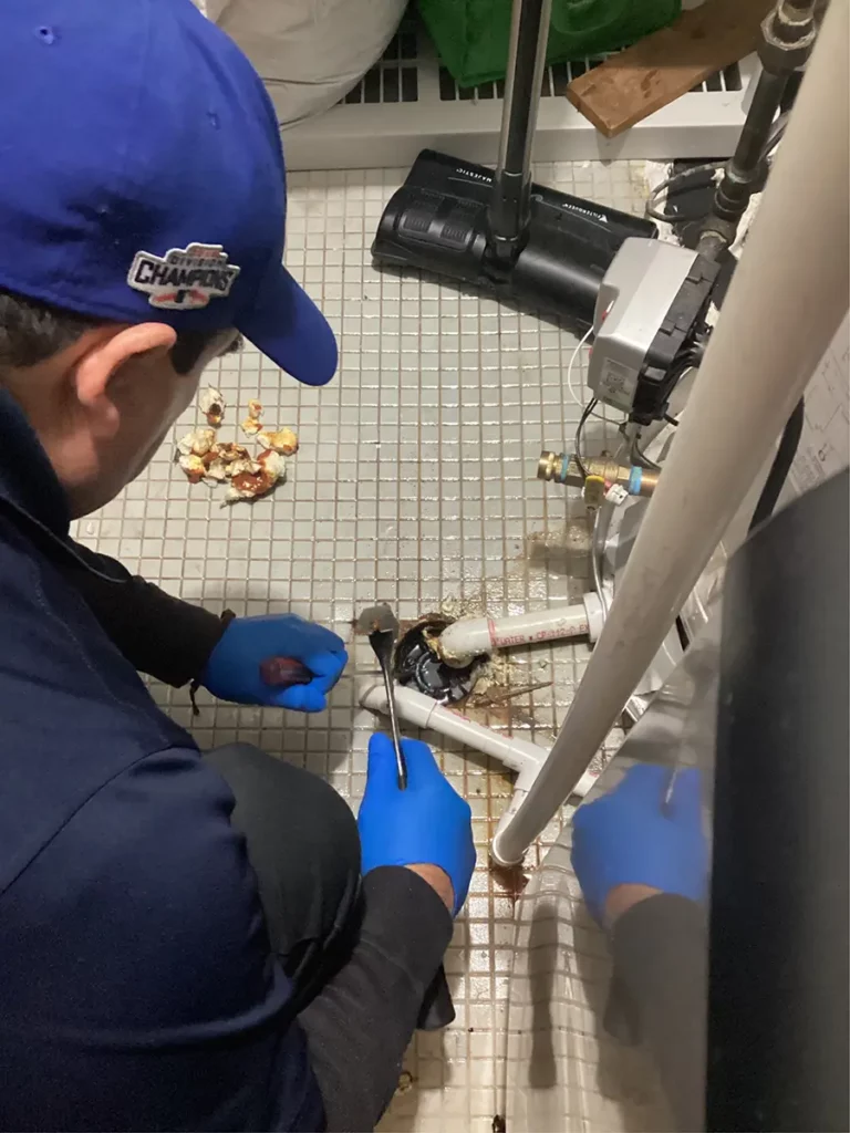 We take great pride in providing services for clogged drain ranch triangle chicago