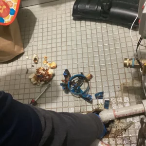 Drain cleaning services revealing reason for clogs in ranch triangle