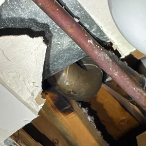plumbers discover leak coming from water heater pipes in chicago