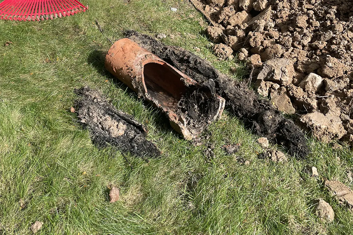 Sewer repair services