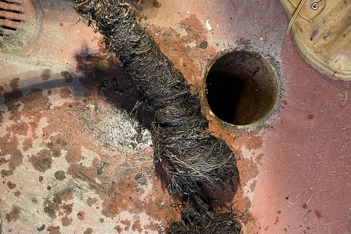 Basement floor drain clog