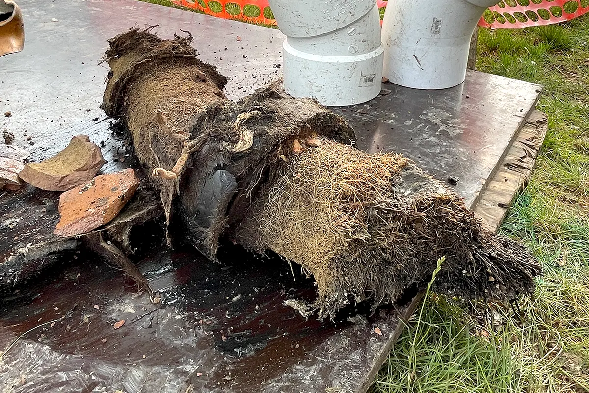 Clogged sewer line drain cleaning