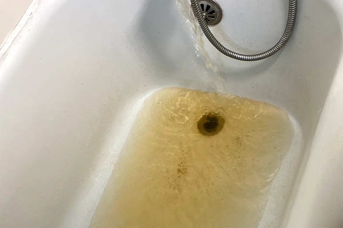 shower drain clog drain cleaning