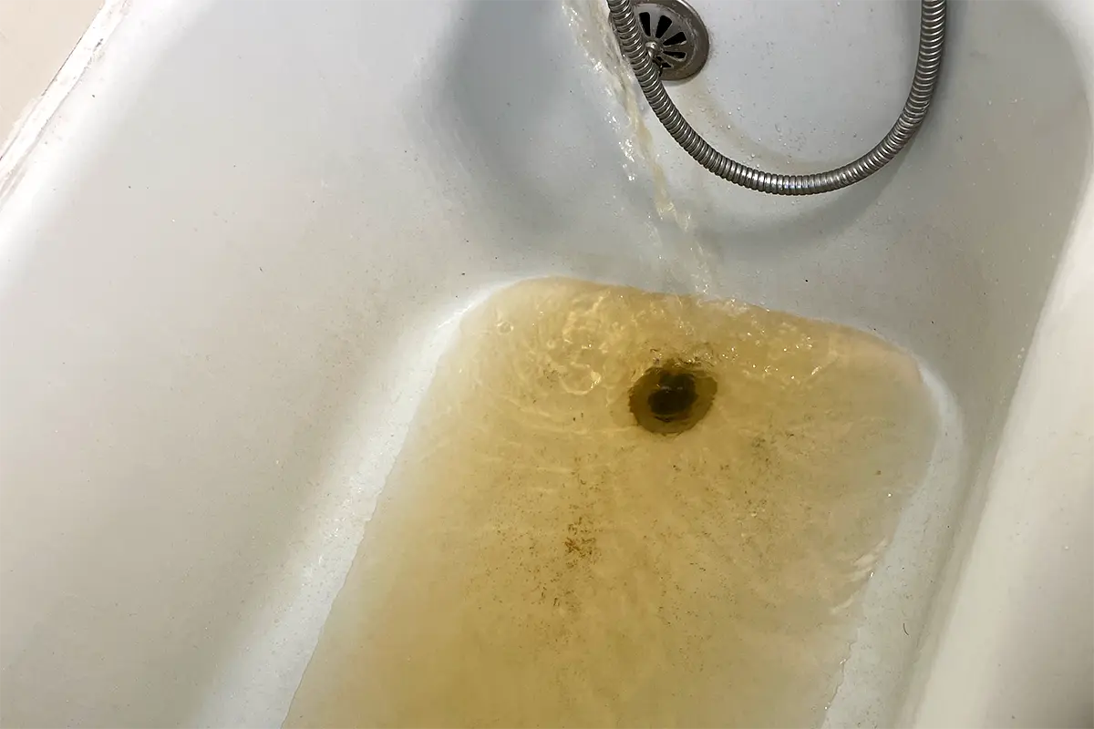 Shower drain clog drain cleaning