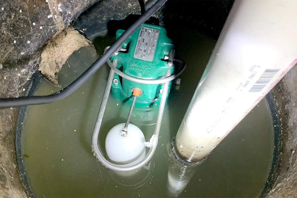 Sump pump maintenance services