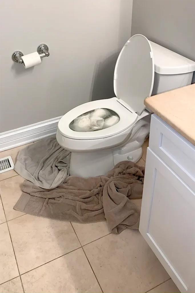 emergency toilet repair services in chicago