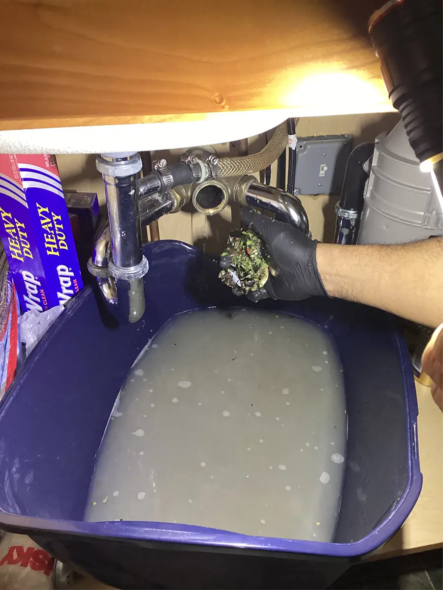 food debris and leftover food clogging drain pipe in sink 
