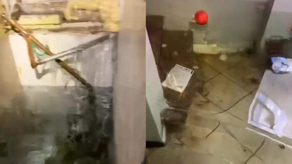 Plumber freddy in flooded basement call