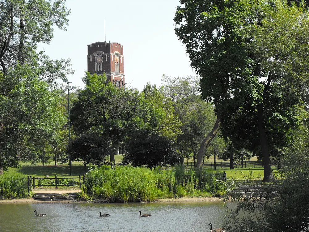 Mckinley park chicago plumbers