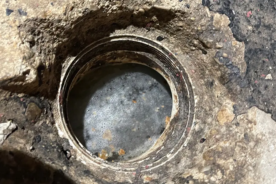 Debris in clogged drain