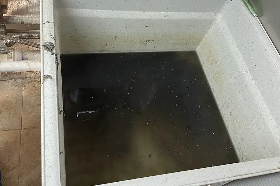 Sewer backup in laundry sink
