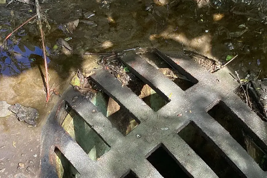 Chicago local waterways