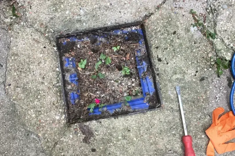 Drain cover debris