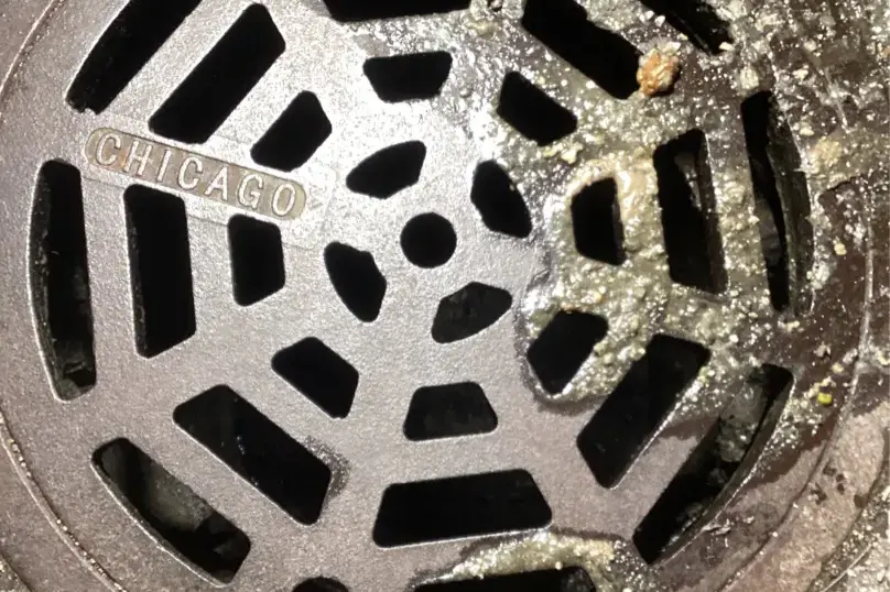 Storm drain cover