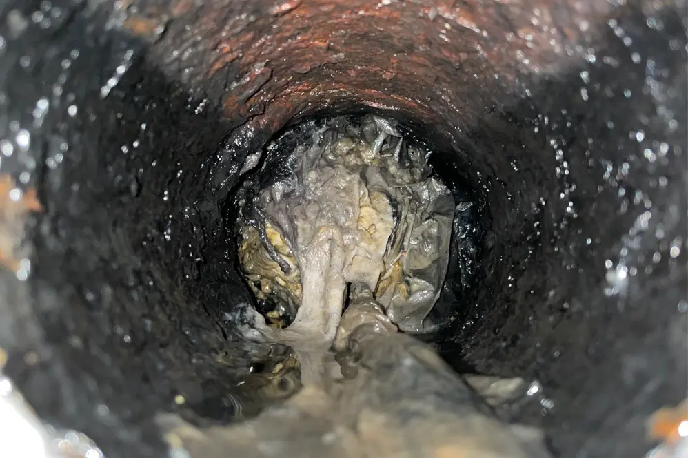 Sewer and affected area