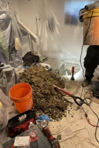 Chicago residents sewer line