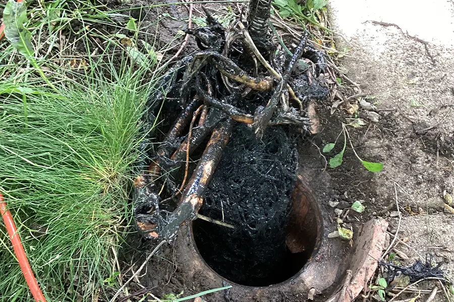 Sewer services