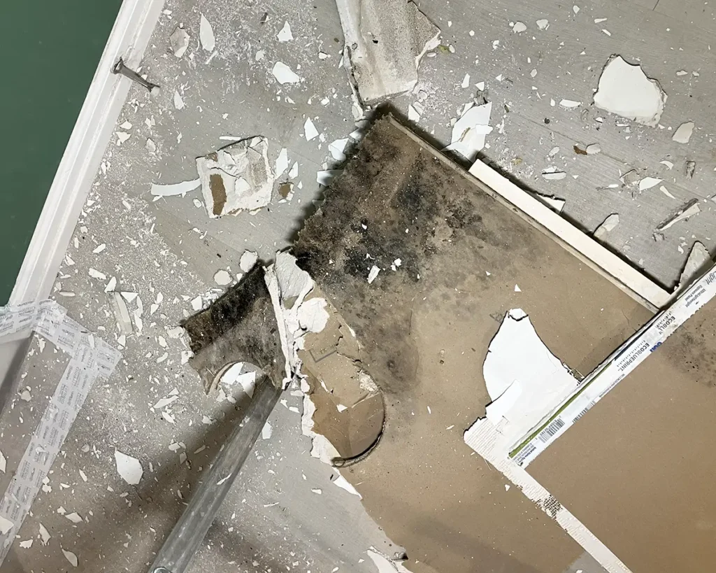 Hidden mold in wall