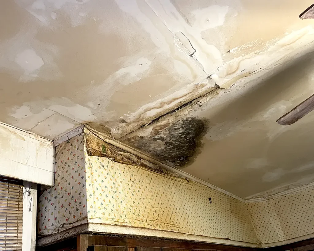Mold in kitchen ceiling
