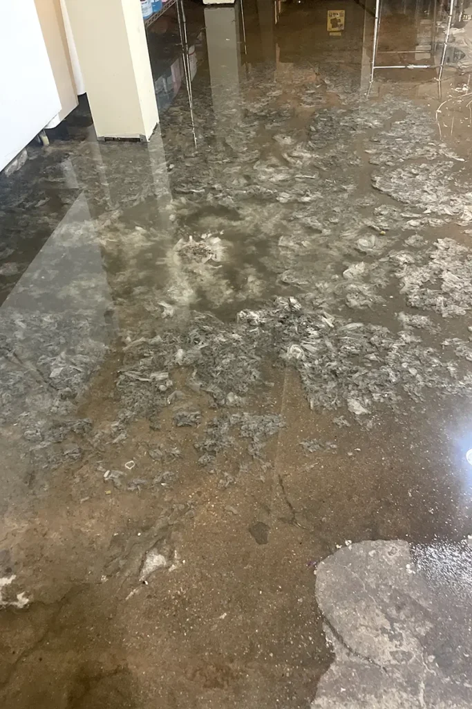 Sewage sludge removal