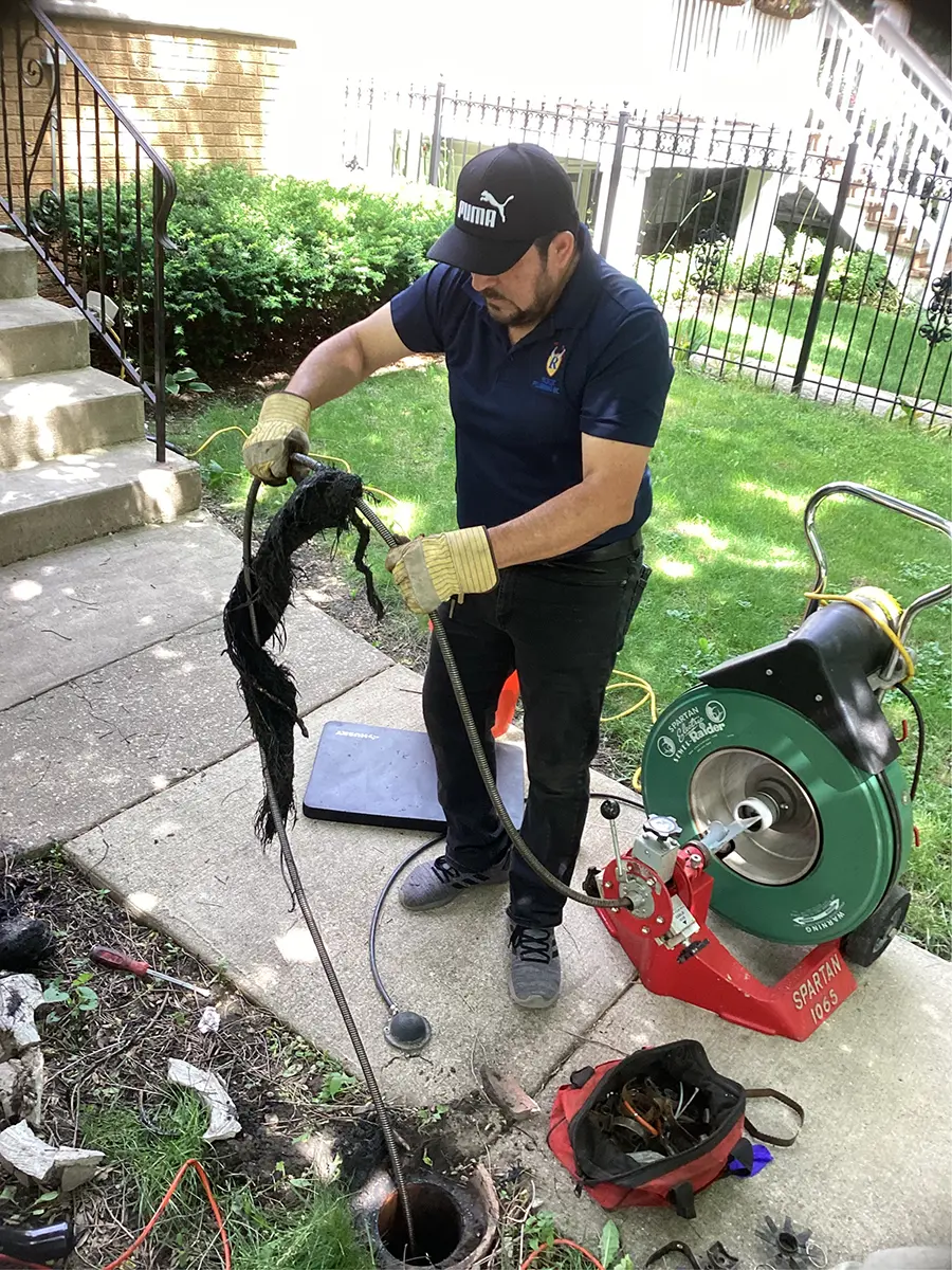 tree root invasion removal