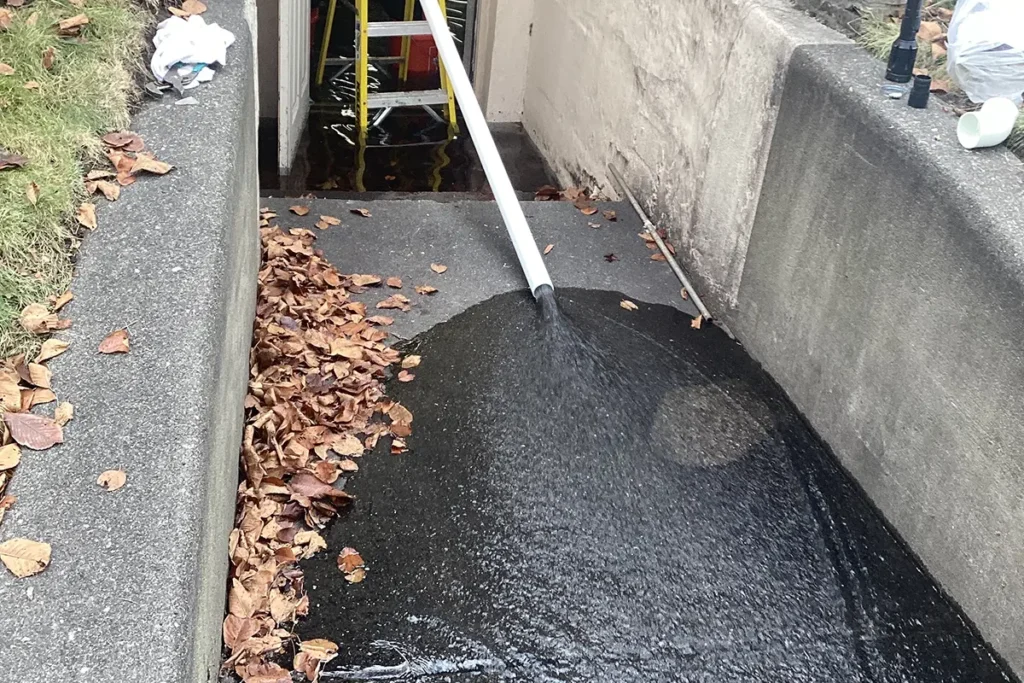 Water removal