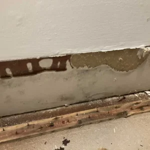 Basement mold removal in wicker park chicago il | emergency plumbing services chicagoland