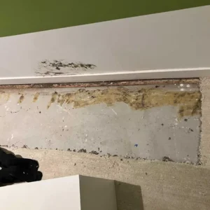 Basement mold removal in wicker park chicago il | emergency plumbing services chicagoland