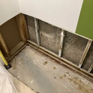 Basement mold removal in wicker park chicago il | emergency plumbing services chicagoland