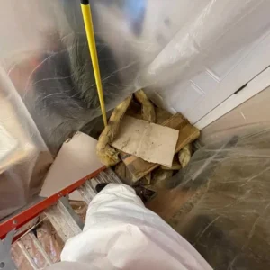 Flood cleanup with water extraction to mitigate mold
