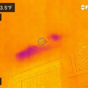 Water damage restoration bucktown chicago