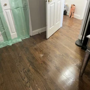 Standing water cleaning services