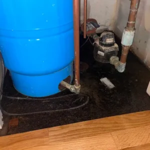 Ejector pump failure in basement douglas park chicago il