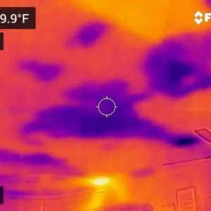 Using thermal imaging to find water damage