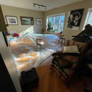 Furniture protection while restoration process