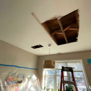 Removing damaged materials on ceiling to prevent mold growth